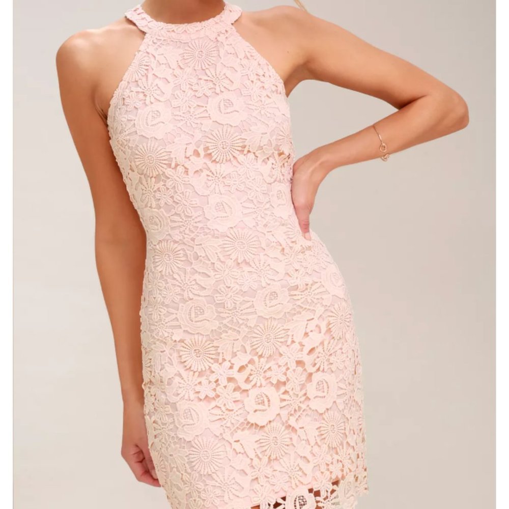 Love Poem Blush Pink Lace Mini Dress